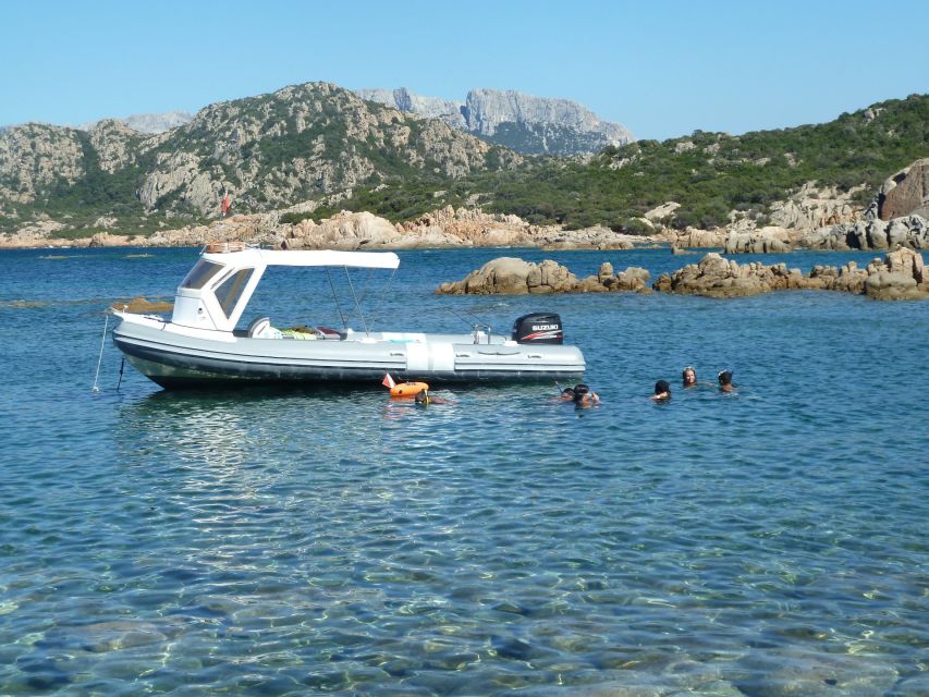 From Olbia: Dinghy Tour with Snorkeling to Tavolara Island - Who should book this experience