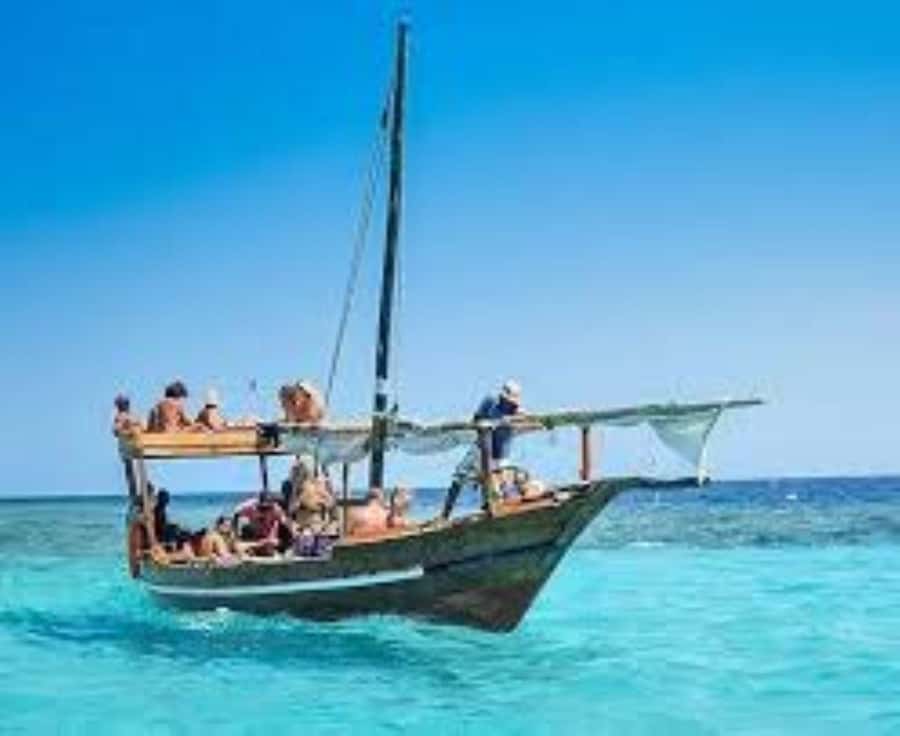 From Paje/Jambian: Safari Blue Snorkelling with Lunch - From Paje or Jambiani to Fumba