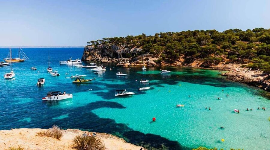 From Palma: Portal Vells Beach and Cave SUP & Snorkel Tour - Key points to know before booking