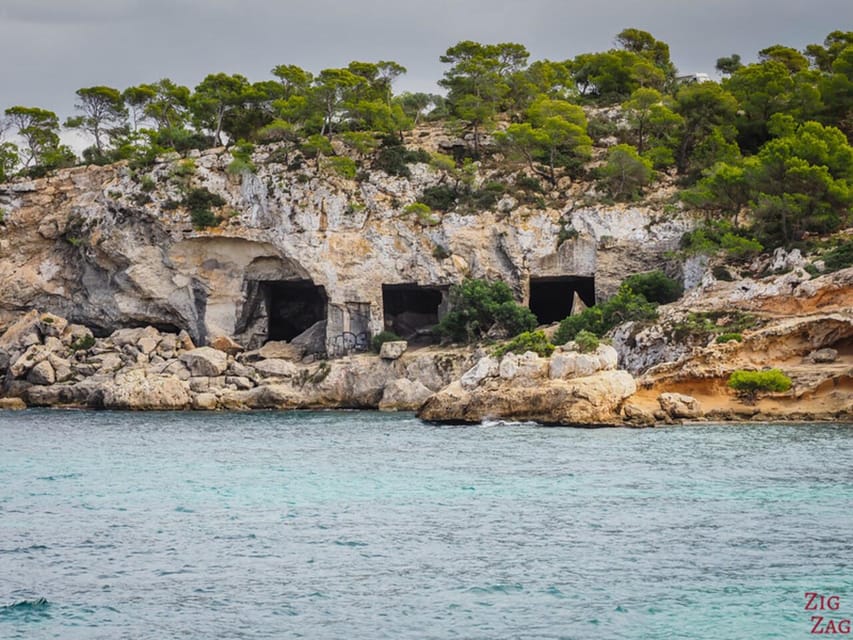 From Palma: Portal Vells Beach and Cave SUP & Snorkel Tour - What is included, and what you still need to bring