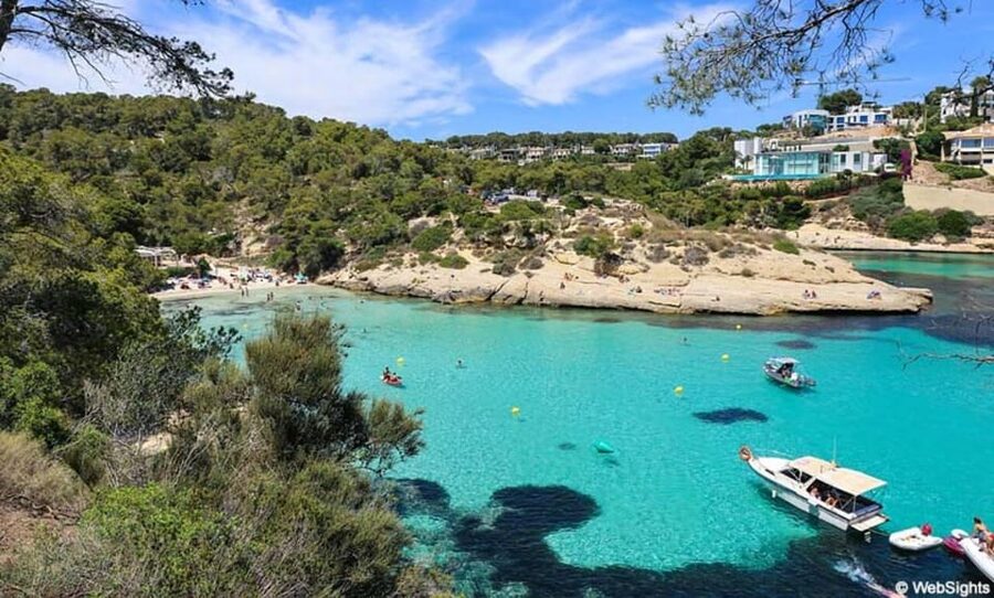 From Palma: Portal Vells Beach and Cave SUP & Snorkel Tour - Pickup from Palma and nearby resort areas