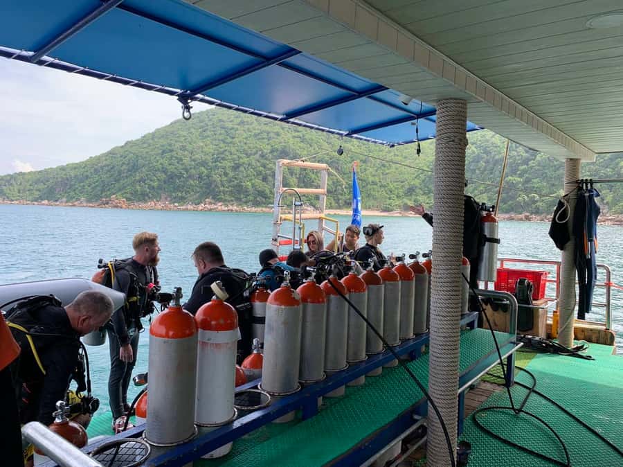 From Pattaya: Snorkeling or Beginner Scuba Diving Tour - Sea Turtles, Tropical Fish, and Visibility
