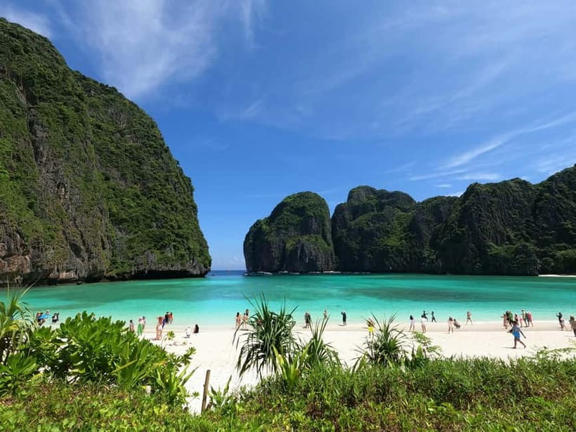 From Phi Phi: Maya Bay HalfDay Longtail Boat with Snorkeling - Monkey Beach: wildlife with a strict no-touch rule