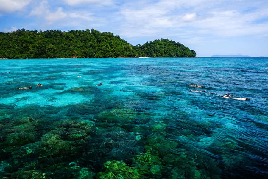From Phuket/Khaolak: Surin Islands Snorkeling Day Trip - The early road transfer from Phuket or Khao Lak