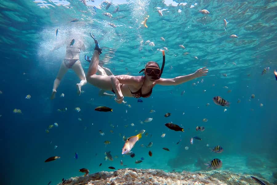 From Phuket: Phi Phi and Maya Bay Snorkeling by Speedboat - A fast route from Phuket to the Phi Phi Islands