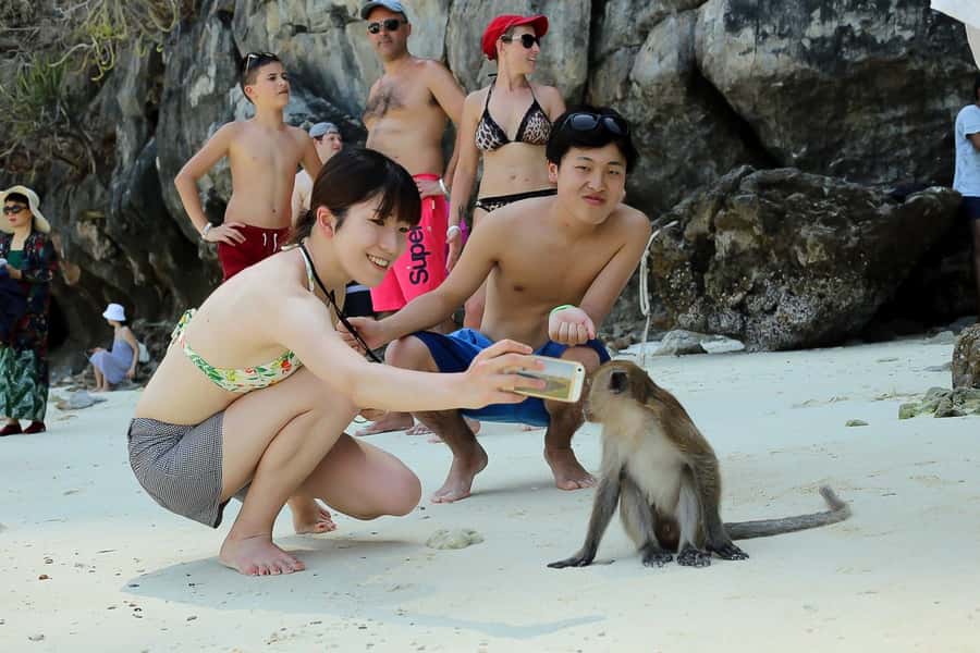 From Phuket: Phi Phi and Maya Bay Snorkeling by Speedboat - What the $112 price really covers