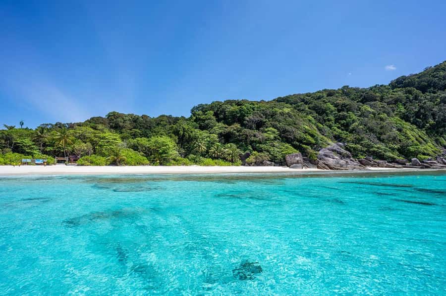 From Phuket: Similan Islands Snorkeling Trip by Speedboat - Food, drinks, and what you actually need