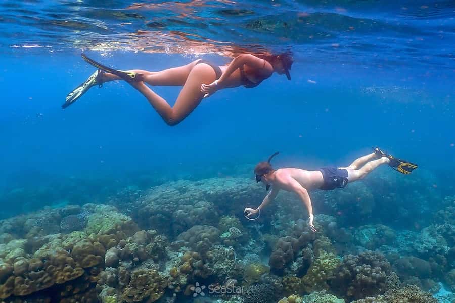 From Phuket: Surin Islands Snorkeling Trip - Why Surin Islands are worth the long ride