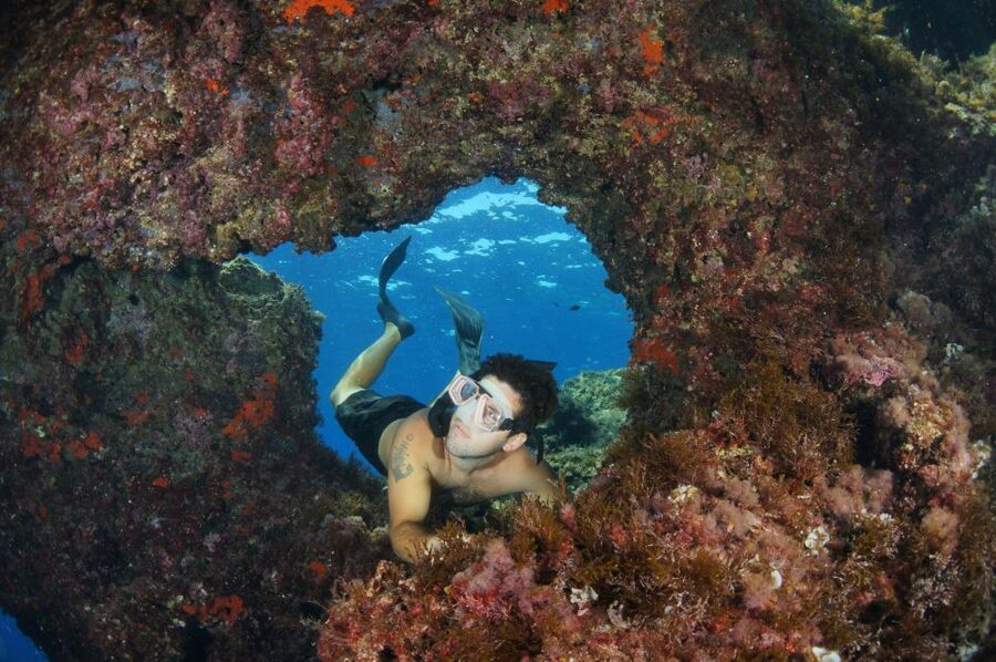 From Porto Ercole: Giannutri Island Snorkeling Boat Trip - The second snorkeling stop and lunch on Abracadabra