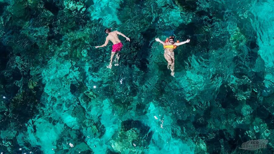 From Punta Cana: Catalina Snorkeling & Altos de Chavon Tour - La Pared and the coral reef stop