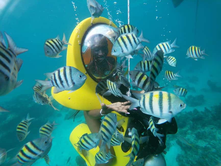 From Punta Cana: ScubaDoo, Snorkel & Glass Bottom Boat Tour - Key points to know before booking