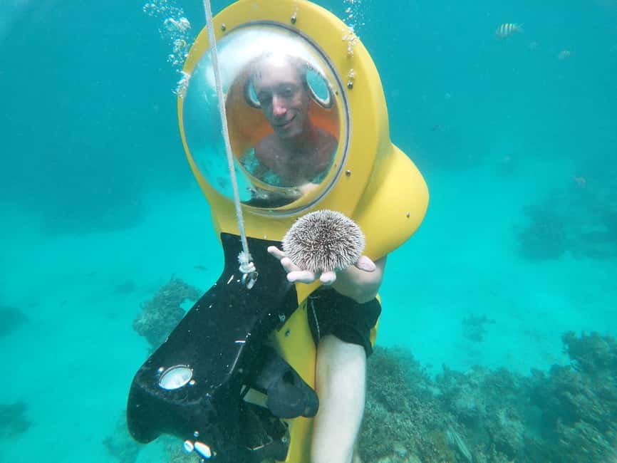 From Punta Cana: ScubaDoo, Snorkel & Glass Bottom Boat Tour - Who will enjoy this most