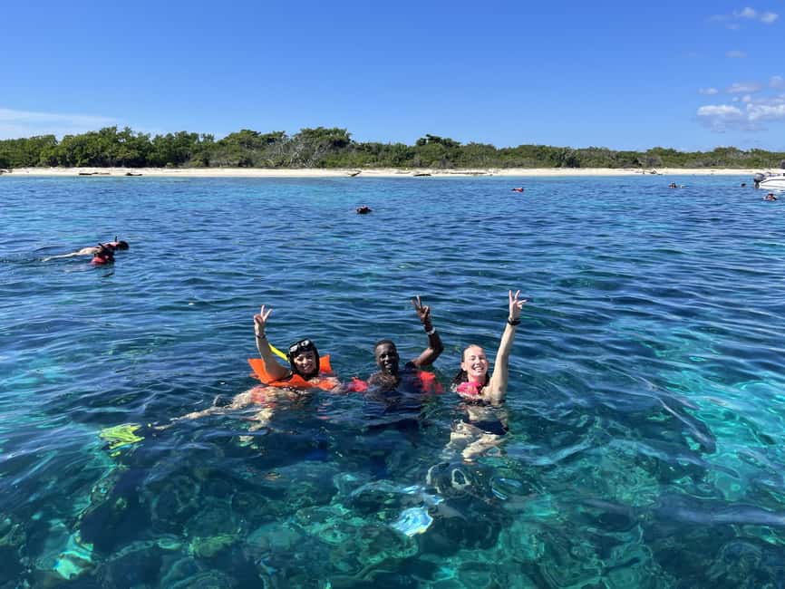 From Punta Cana: Small Group Catalina Island Snorkeling Tour - The Wall, Catalina’s deeper snorkeling stop