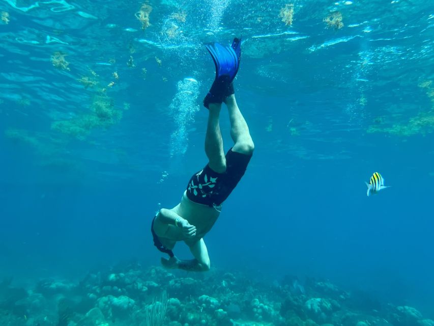 From Punta Cana: Small Group Catalina Island Snorkeling Tour - The Aquarium and the natural pool