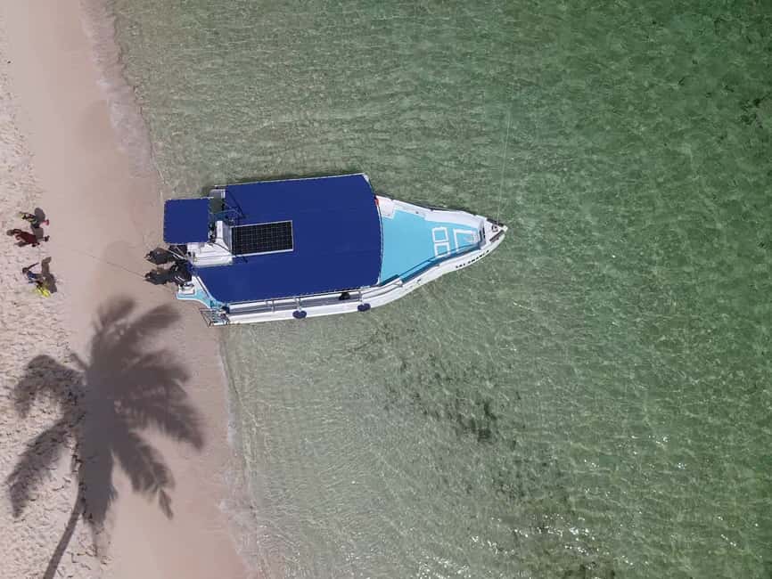 From Punta Cana: Small Group Catalina Island Snorkeling Tour - Catalina Beach, lunch, and two hours to slow down