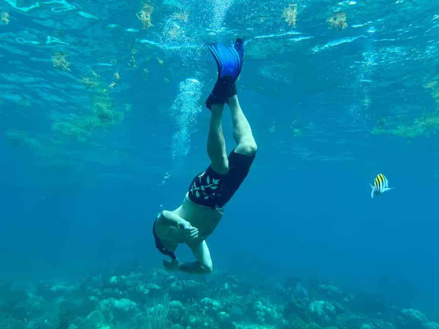 From Punta Cana: Small Group Catalina Island Snorkeling Tour - Guides, group size, and the feel onboard