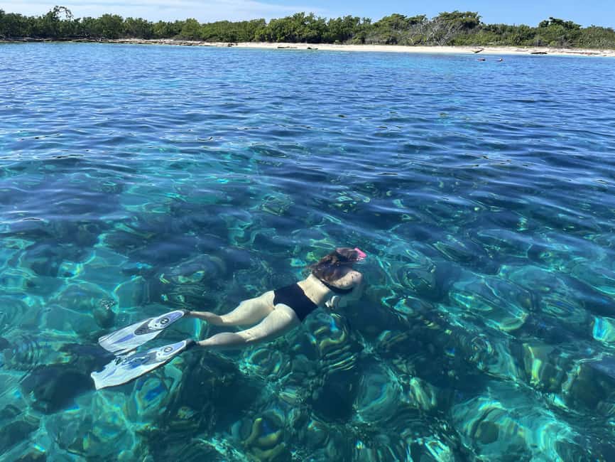 From Punta Cana: Small Group Catalina Island Snorkeling Tour - Transport is the part to check carefully