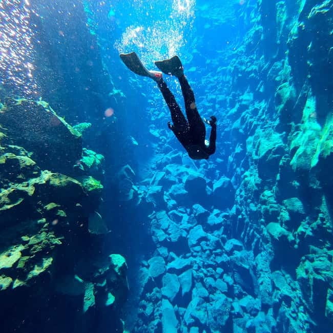 From Reykjavík: Silfra Snorkeling with free photos - Photos, hot drinks, and Icelandic chocolate
