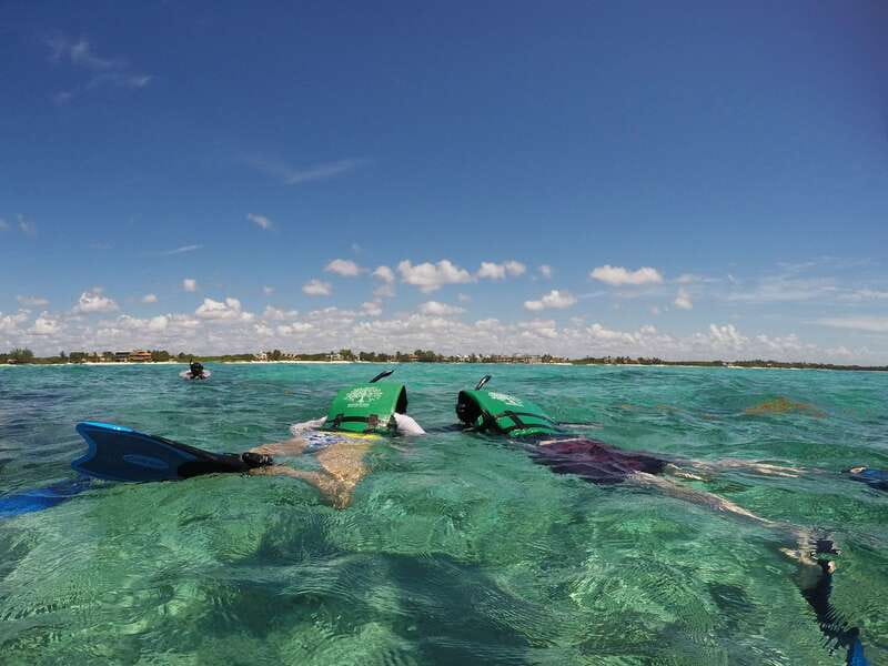 From Riviera Maya: Snorkeling & Private Cenote Half-Day Tour - An eco-conscious way to enter the water