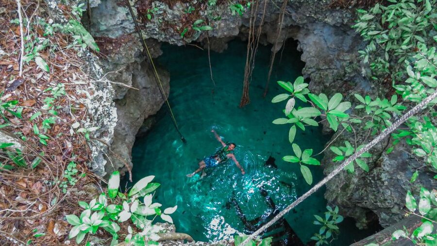 From Riviera Maya: Snorkeling & Private Cenote Half-Day Tour - Guides make the difference