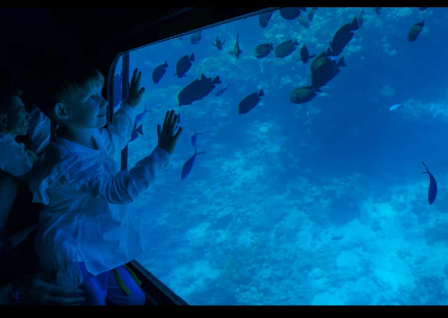 From Safaga: Royal Seascope Submarine with Snorkeling - Forty-five minutes behind the underwater windows
