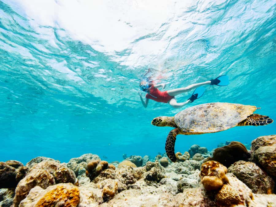From Samui: Koh Tao and Nangyuan Snorkeling Tour Day Trip - From Samui to Koh Tao by speedboat