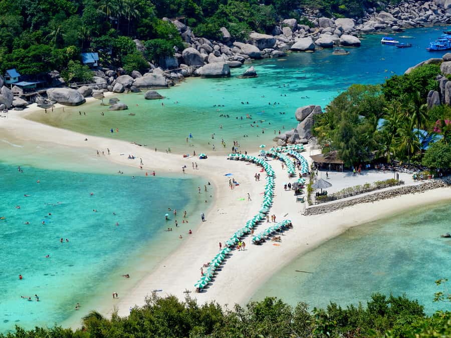From Samui: Koh Tao and Nangyuan Snorkeling Tour Day Trip - What the snorkeling stops are really like