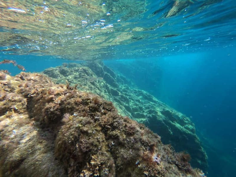From Sant Feliu de Guíxols: Kayak and Snorkel in Costa Brava - What the Guides Add