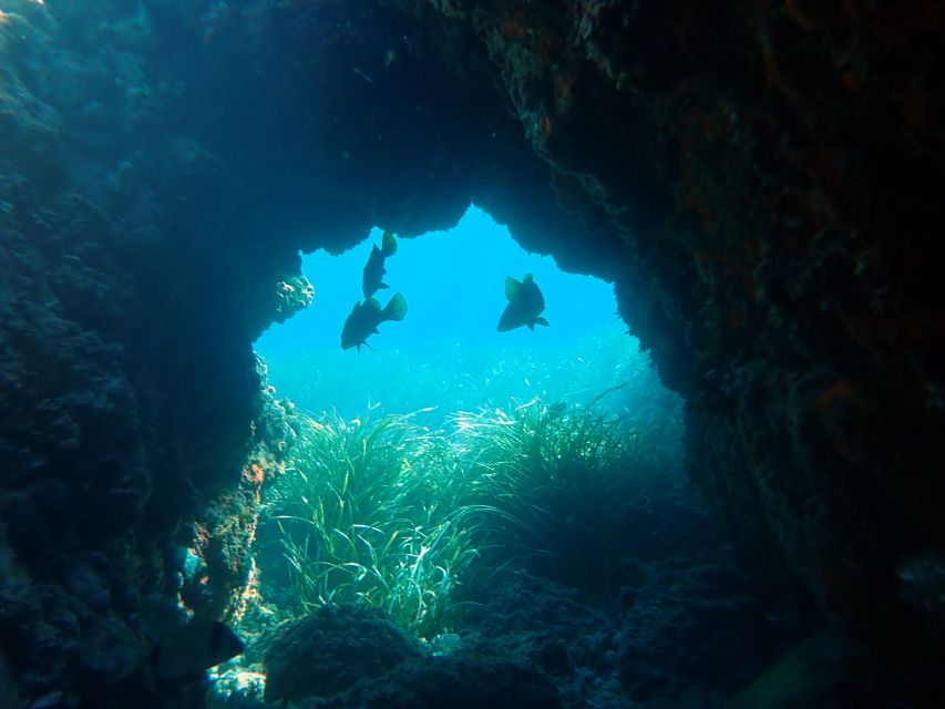 From Santa Pola: Snorkel Trip in Tabarca Island - Leaving Santa Pola for Tabarca Island