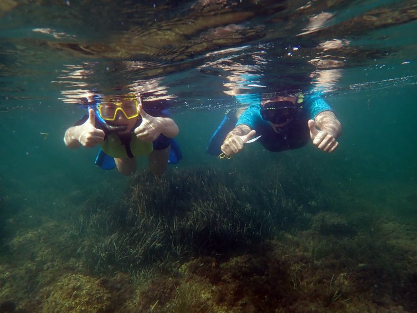From Santa Pola: Snorkel Trip in Tabarca Island - Is the three-hour format good value?