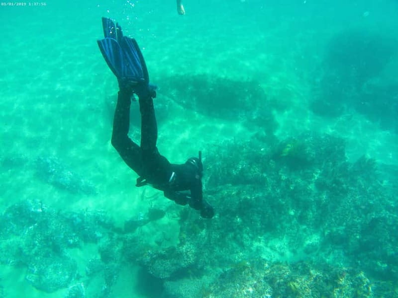 From Sesimbra: Sea Scooter Snorkeling boat Tour - First snorkeling stop: 45 minutes in the marine park