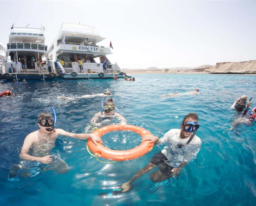 From Sharm: Half day Snorkeling Trip with Lunch - Who will get the most from this outing?