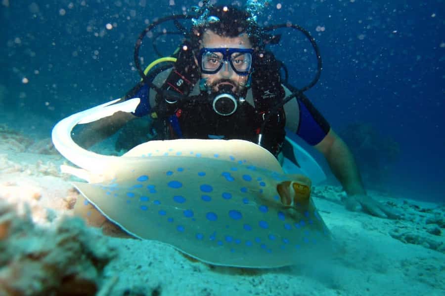 From Sharm: Ras Mohammed snorkeling cruise & optional diving - Is $31 good value for a seven-hour trip?