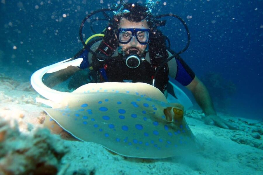 From Sharm: Ras Mohammed snorkeling cruise & optional diving - Buffet lunch and drinks on the yacht