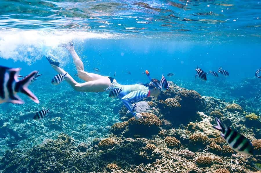 From Sharm: Ras Mohammed snorkeling cruise & optional diving - Staff, languages, and the feel of the day