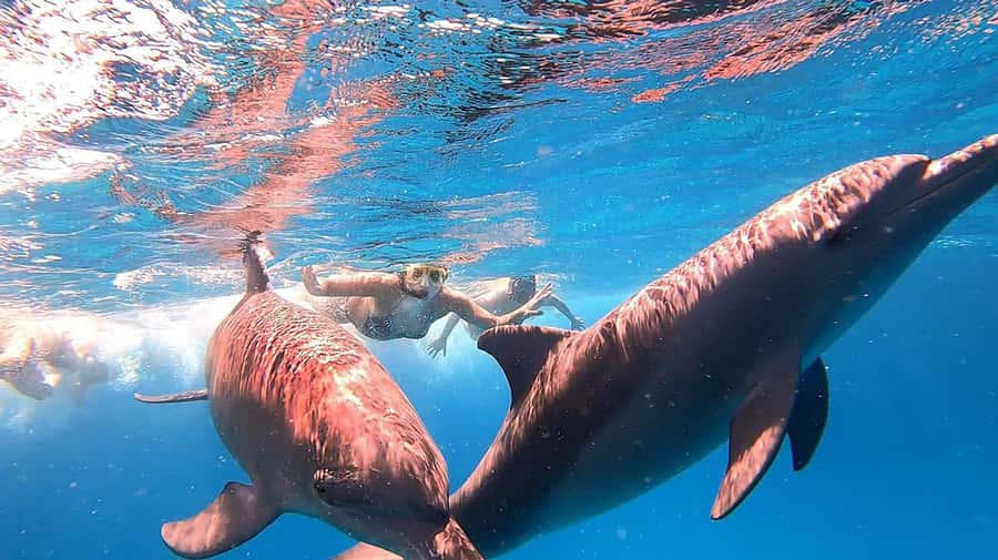 From Sharm: White Island and Ras Mohamed Snorkeling Trip - Lunch on the upper deck
