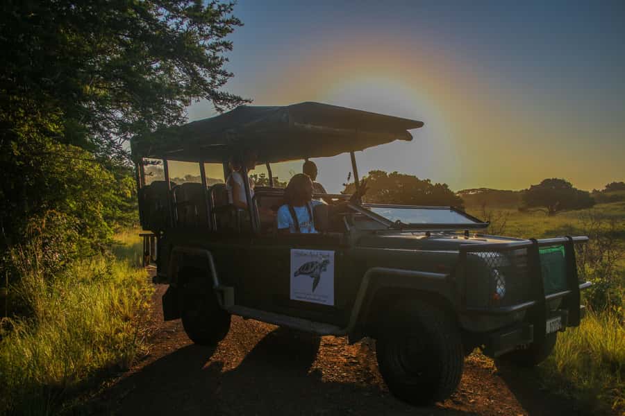 From St Lucia: Cape Vidal Full-Day Snorkeling Safari - A safari where small details matter