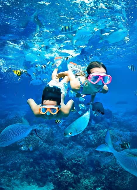 From Uppuveli Beach: Pigeon Island Snorkeling Tour - Key points to know before you go