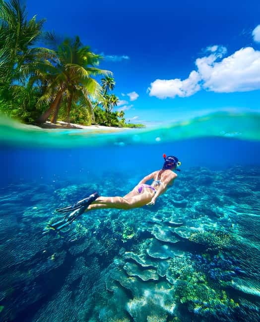 From Uppuveli Beach: Pigeon Island Snorkeling Tour - What the morning at Pigeon Island is really like