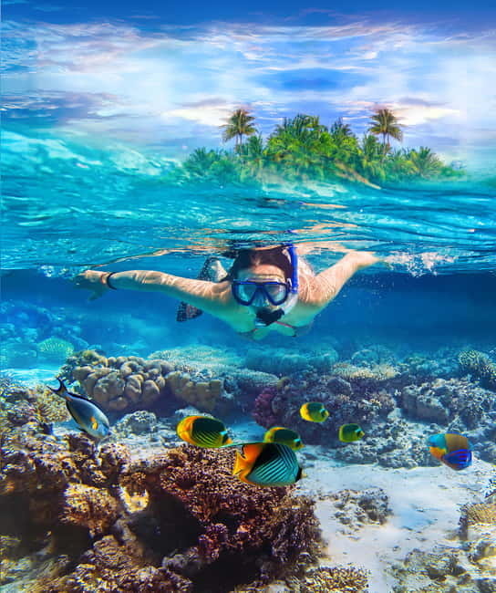 From Uppuveli Beach: Pigeon Island Snorkeling Tour - Snorkeling among coral and tropical fish