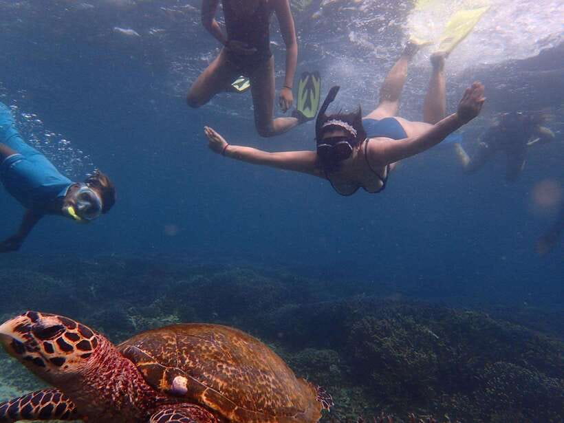 From Uppuveli Beach: Pigeon Island Snorkeling Tour - The boat ride and small-group setup