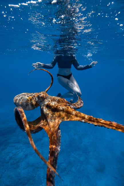 From Waikiki: Turtle Canyon Snorkeling Tour - How the crew handles safety and nerves