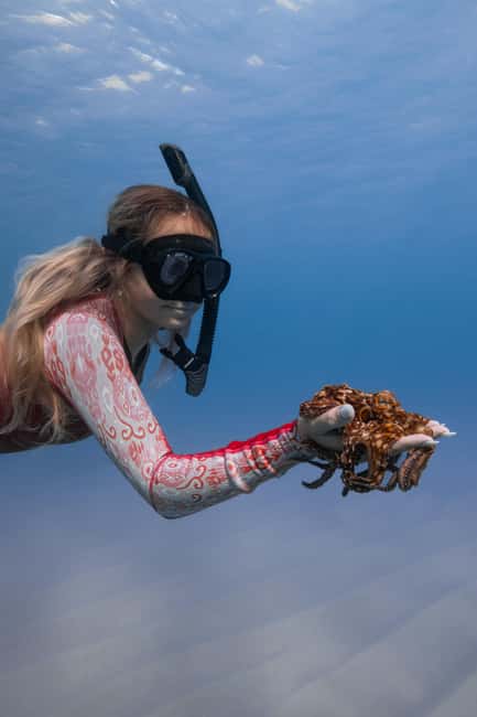 From Waikiki: Turtle Canyon Snorkeling Tour - Is $81 a fair price?