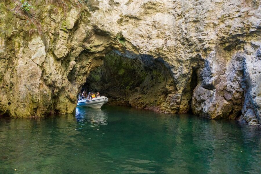 From Whitianga: Cathedral Cove Cruise with Snorkeling - Orua Sea Cave and the boat’s musical trick