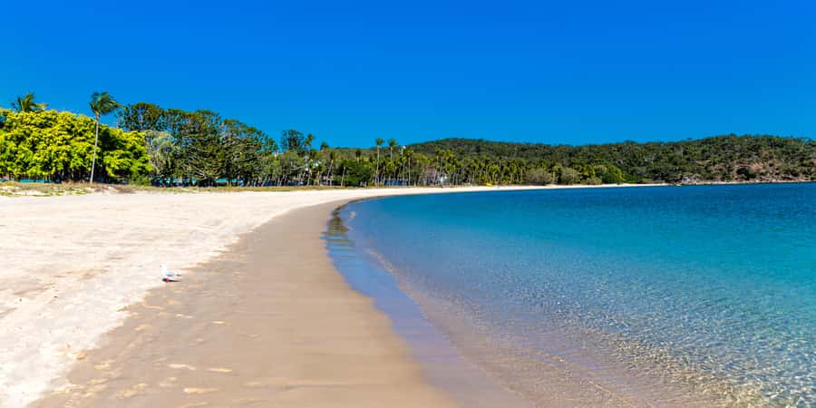 From Yeppoon: Great Keppel Island Snorkeling Hire with Lunch - Who will enjoy this island day most?