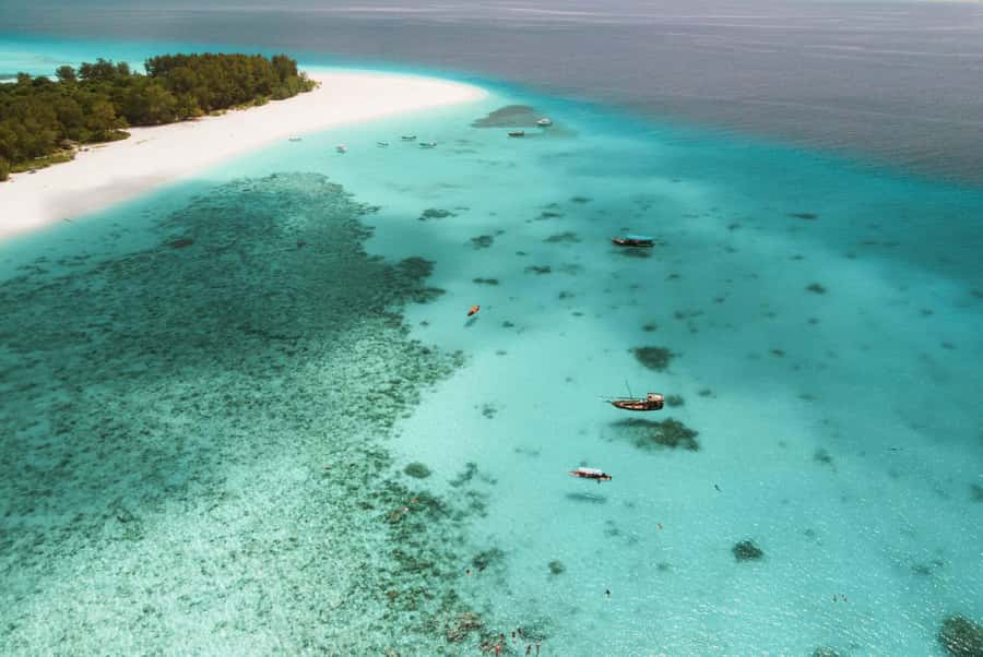 From Zanzibar: Mnemba Boat Tour with Snorkeling & Dolphine - Key points to know before you book