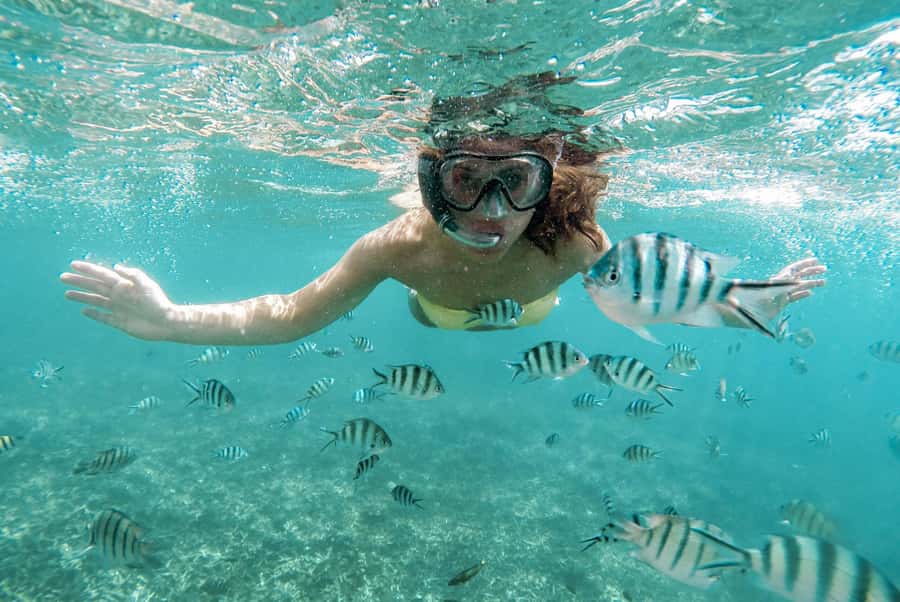 From Zanzibar: Mnemba Boat Tour with Snorkeling & Dolphine - Looking for dolphins in open water