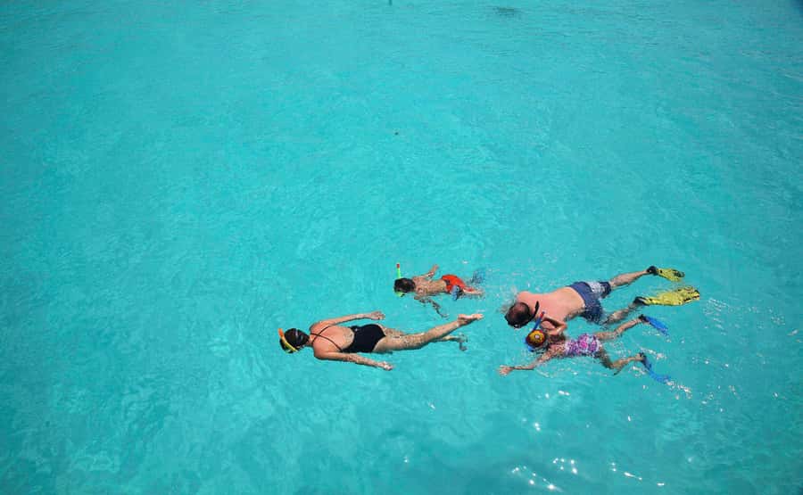 From Zanzibar: Mnemba Boat Tour with Snorkeling & Dolphine - Best time, weather, and what to pack