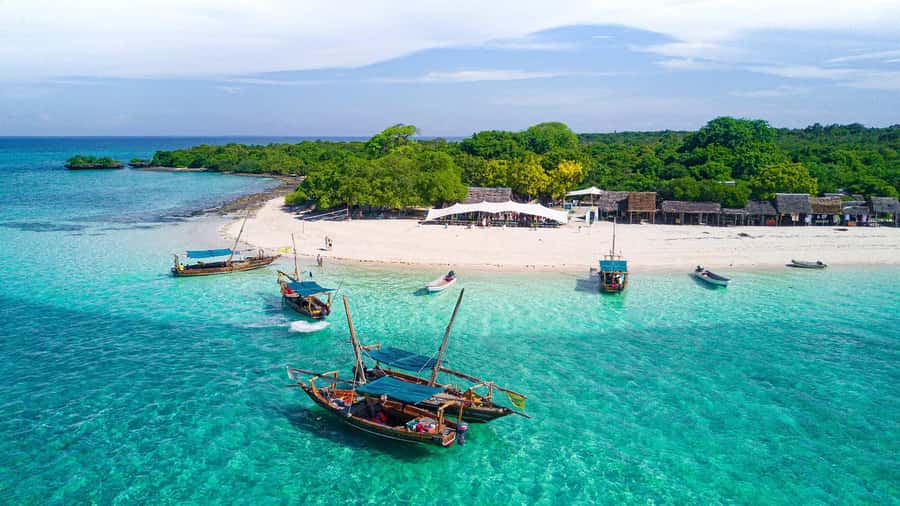 From Zanzibar: Safari Blue Snorkeling Trip with Lunch - Snorkeling around the coral reefs