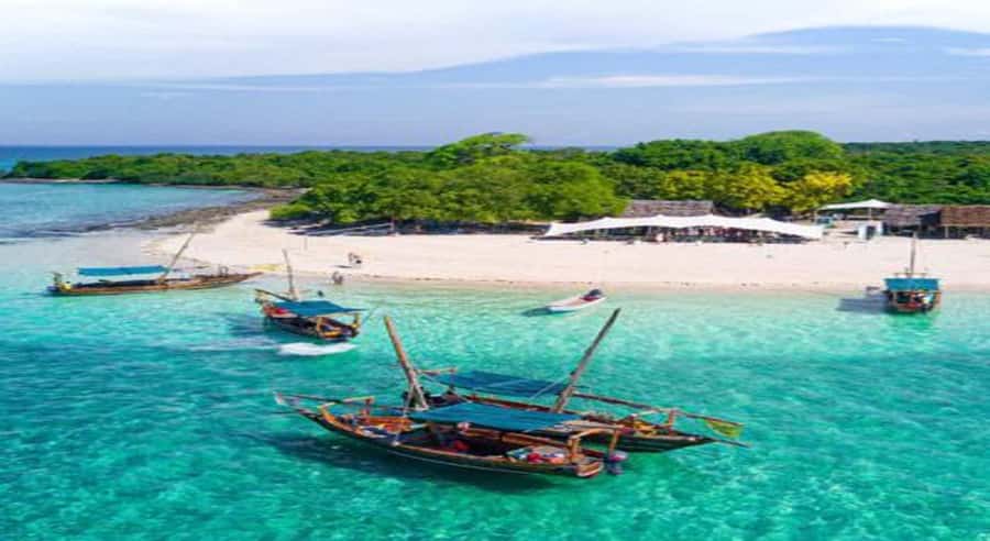 From Zanzibar: Safari Blue Snorkeling Trip with Lunch - Fumba village and the morning transfer